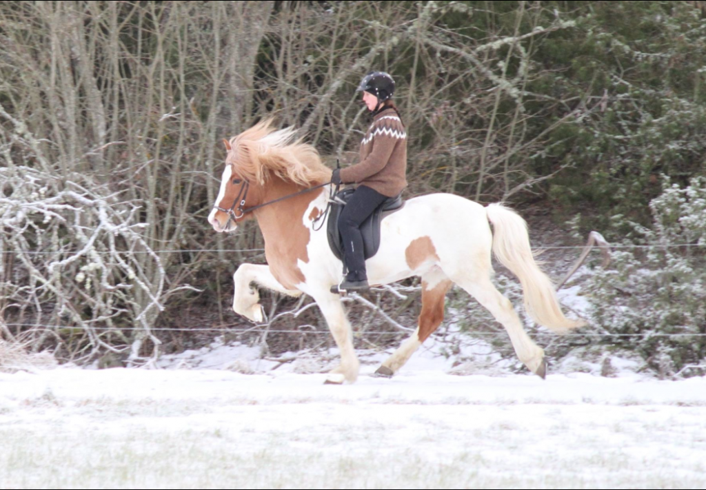 Skärmavbild 2017-01-18 kl. 16.54.23