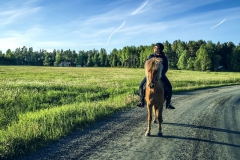 Snäcksjöns-islandshästar-Öregrund-IMG_8554